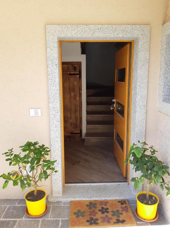 Ledro Nest Apartment Mezzolago Ngoại thất bức ảnh