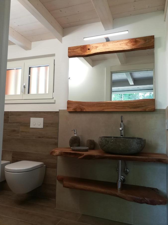 Ledro Nest Apartment Mezzolago Ngoại thất bức ảnh